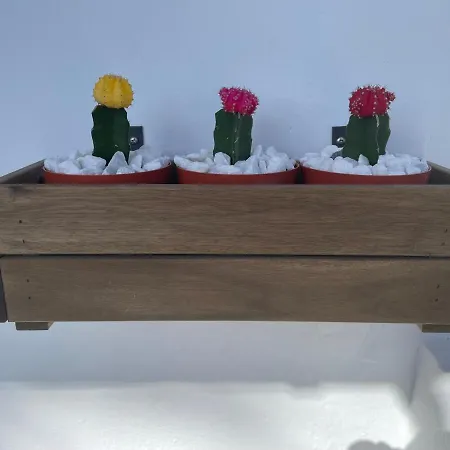 El Paraiso De Kayla * بويرتو ذيل كارمين