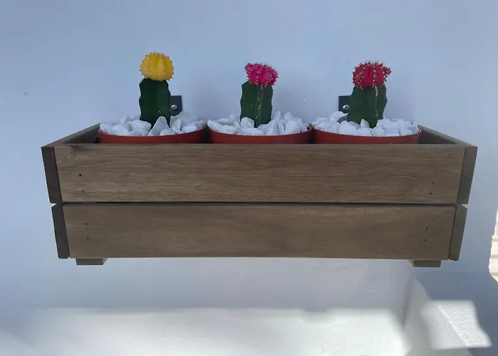 El Paraiso De Kayla * بويرتو ذيل كارمين